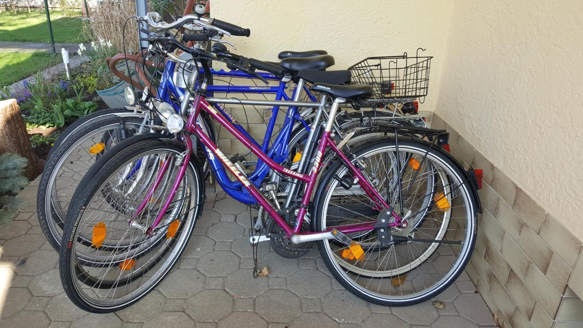 Ferienwohnung Miezerle Steisslingen エクステリア 写真