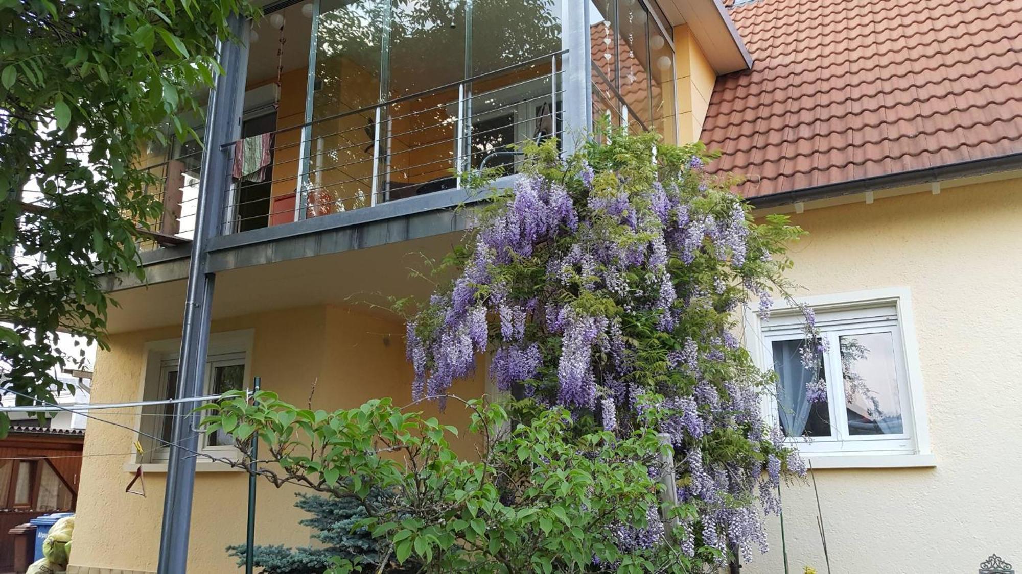 Ferienwohnung Miezerle Steisslingen エクステリア 写真